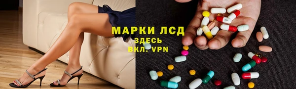 сатива Вуктыл