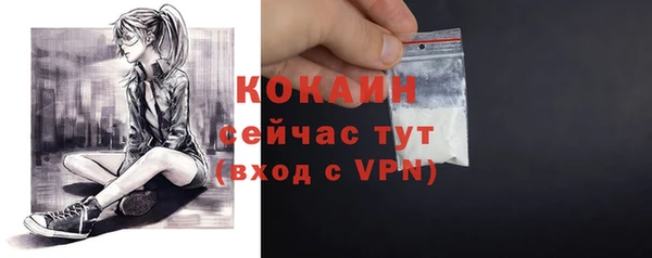 таблы Няндома