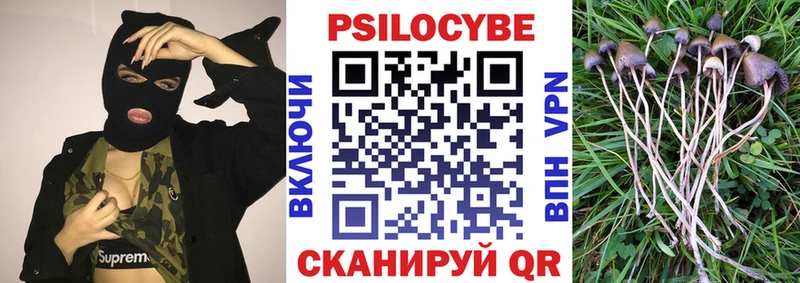 Псилоцибиновые грибы прущие грибы  Купить  Заречный 